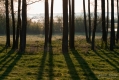 018_Biebrza - kwiecien 2012